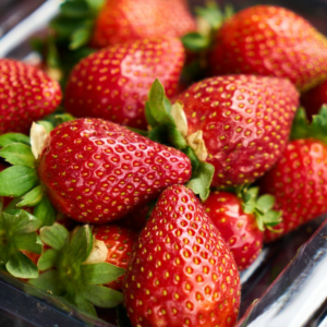 Strawberry plant