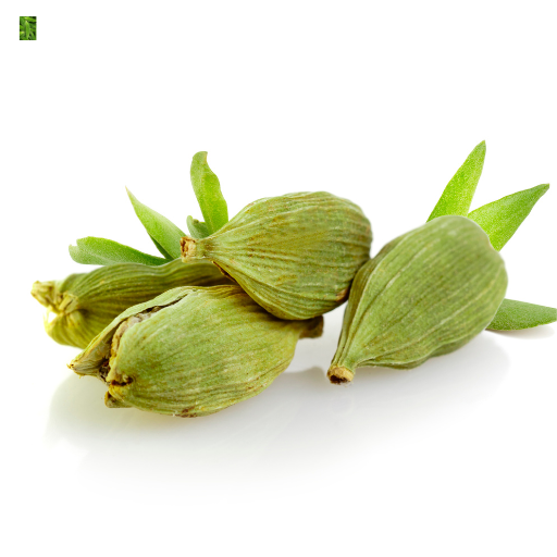 cardamom